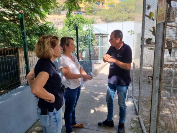 Gobierno de Canarias y Fundación Neotrópico impulsan la cría de insectos para la producción de piensos