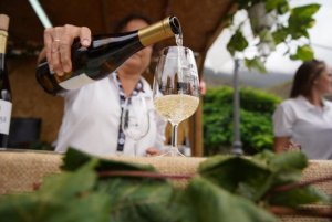 El Gobierno concede ayudas POSEI a la transformación, embotellado y comercialización exterior de vinos con DOP