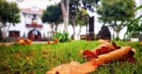 Villa de Firgas: Servicios Sociales tiene abierto el plazo para solicitar las ayudas econ&oacute;micas de emergencia social hasta el 11 de febrero