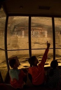 Cueva Pintada de G&aacute;ldar presenta el proyecto del primer Consejo Infantil de Museos de Canarias