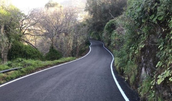 El Cabildo aprueba la contratación del mantenimiento del arbolado y vegetación junto a las carreteras por 11,7 millones