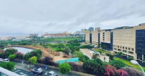 Cirujanos vasculares del Hospital Dr. Negrín organizan una campaña de detección de aneurisma de aorta abdominal