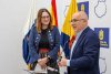 Delgado informa al Cabildo que contar&aacute; con 15 millones de euros extra para crear 170 plazas sociosanitarias