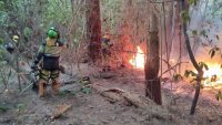 La direcci&oacute;n del Plan INFOCA autoriza la vuelta de las personas evacuadas a sus viviendas