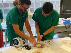 El Hospital Dr. Negrín acoge un curso nacional de cirugía de urgencias dirigido a médicos residentes