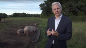 Visita guiada a la muestra ‘In Good Company. Films by International art collectives’