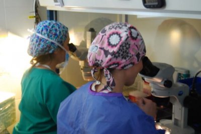 La FIISC subvenciona diecisiete proyectos de investigaci&oacute;n en Atenci&oacute;n Especializada y Salud P&uacute;blica