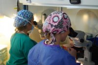 La FIISC subvenciona diecisiete proyectos de investigaci&oacute;n en Atenci&oacute;n Especializada y Salud P&uacute;blica