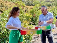 La Gomera: Cabildo y GMR apuestan por la comercializaci&oacute;n del mango gomero y presentan su nuevo empaquetado