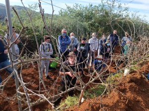 Valleseco fue escenario del taller práctico de poda de diferentes cultivos de manzanos