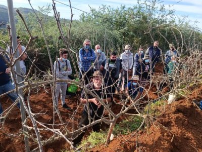 Valleseco fue escenario del taller práctico de poda de diferentes cultivos de manzanos