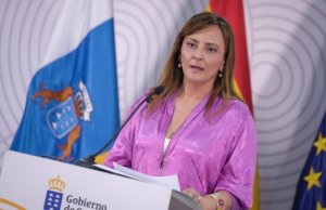 Barreto pide al Ministerio información sobre la afectación de la pérdida de datos de órdenes de alejamiento