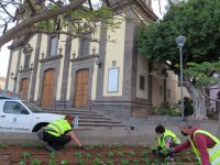 Gu&iacute;a: Plantaci&oacute;n de m&aacute;s de 3.000 petunias y geranios en jardines y espacios p&uacute;blicos