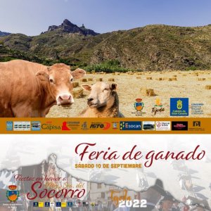 Tejeda: Gran Feria de Ganado de las Fiestas en Honor a la Virgen del Socorro 2022