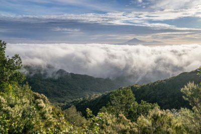 La Gomera conmemora su und&eacute;cimo aniversario como Reserva de la Biosfera