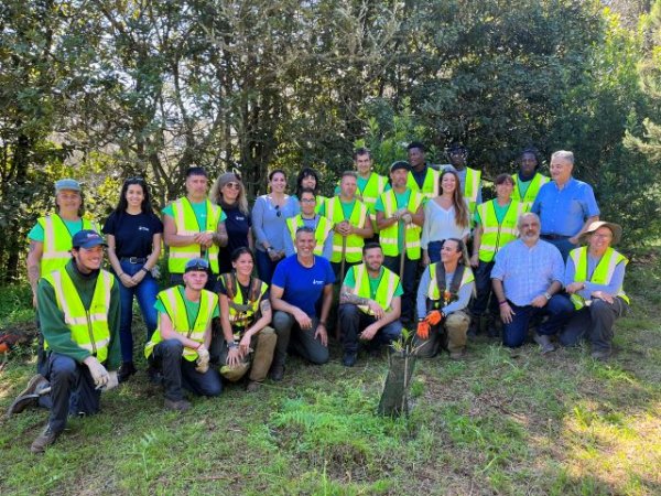 Fundación Foresta propicia la plantación de cerca de 2.000 ejemplares autóctonos a través de Emplea Verde Gran Canaria