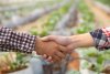 El Gobierno de Canarias convoca subvenciones de apoyo a las Asociaciones Profesionales Agrarias sin &aacute;nimo de lucro