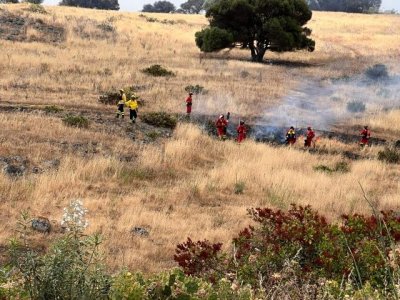 La Unidad Operativa de Fuegos Forestales del Cabildo forma a miembros de las UME canarias y del Estado en la prevenci&oacute;n de incendios
