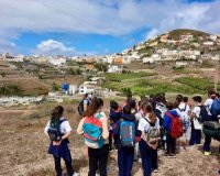 Arucas: Estudiantes de 5º curso del CEIP Eduardo Rivero Ramos participaron en un sendero por el entorno del centro educativo