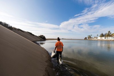 El Cabildo defiende la rica biodiversidad de Gran Canaria a trav&eacute;s de un programa de lucha contra las especies ex&oacute;ticas invasoras