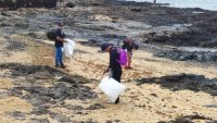 Eco&aacute;reas Mardetodos llev&oacute; a cabo en 2022 m&aacute;s de 60 actividades para el desarrollo tur&iacute;stico sostenible del litoral