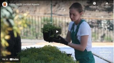 Finalizado el Itinerario profesional en Jardinería Vertical y Forestal para mujeres de Agaete