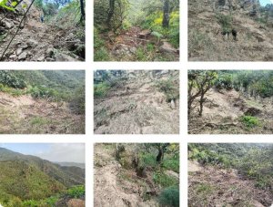 Turc&oacute;n solicita al &Aacute;rea de Medio Ambiente del Cabildo de Gran Canaria el arreglo y puesta en uso del camino del cauce del Barranco de Los Cern&iacute;calos