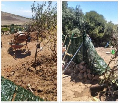 Obras de transformaci&oacute;n en suelo r&uacute;stico protegido en el Lomo de La Palma (Rosiana) preocupan a Turc&oacute;n