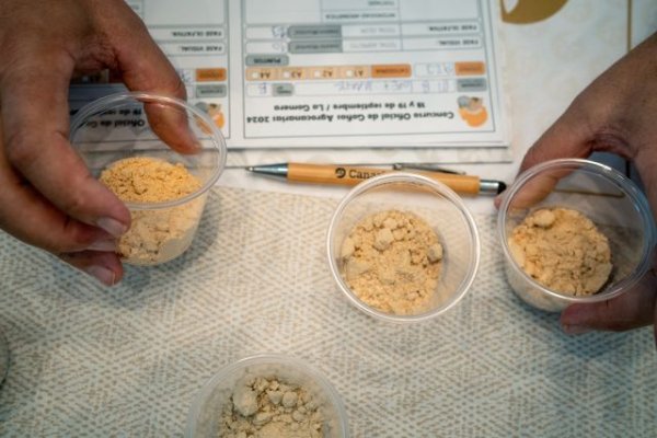 El Gobierno de Canarias convoca el Concurso Oficial de Gofios Agrocanarias 2025