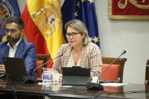 Vanoostende presenta en el Parlamento unos presupuestos que crecen un 15% hasta alcanzar los 167,6 millones