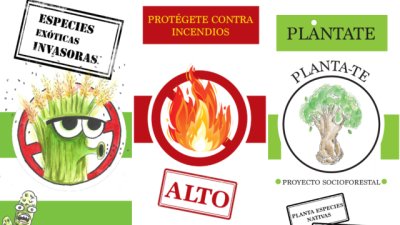 La Gomera: La Unidad de Medio Ambiente impulsa la concienciaci&oacute;n ambiental ante incendios y especies invasoras