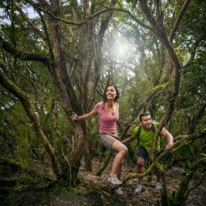 Turismo de Canarias convoca los exámenes anuales para acreditarse como guía turístico y ampliar idiomas