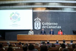 El Gobierno de Canarias anuncia líneas de ayuda por valor de 3,1 millones para los mercados tradicionales