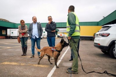 #STOPCULEBRAREAL incorpora una unidad canina a la lucha contra especies ex&oacute;ticas invasoras
