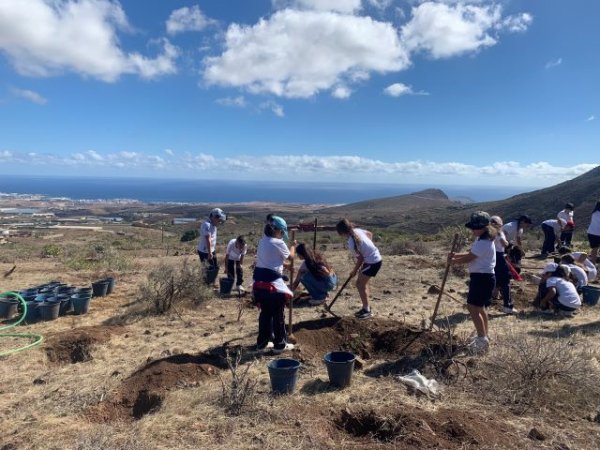 Foresta restaura 2,5 hectáreas de zonas degradadas en Telde, Teror y Firgas