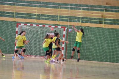 Balonmano femenino: Resumen de la jornada 10 del G&aacute;ldar BF en la Liga Cabildo