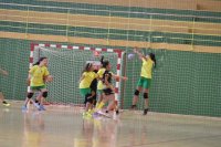 Balonmano femenino: Resumen de la jornada 10 del G&aacute;ldar BF en la Liga Cabildo