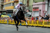 Las calles de G&aacute;ldar acogen con &eacute;xito de p&uacute;blico la III Carrera de Caballos