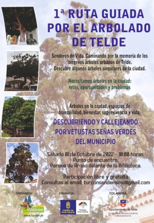 Turcón programa la Primera Ruta guiada por el Arbolado urbano de Telde