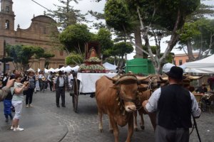 G&aacute;ldar vive un intenso fin de semana de actividades culturales y festivas