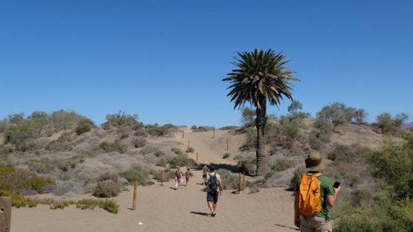 ImpulsaMaspalomas creará material audiovisual divulgativo sobre la Reserva Natural de las Dunas