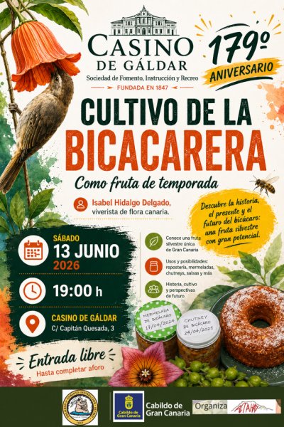 Una charla en el Casino de Gáldar abordará las posibilidades culinarias y agrícolas del bicácaro