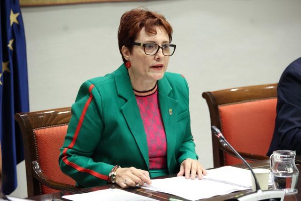 Delgado presenta a los cabildos el nuevo decreto que moderniza y agiliza el reconocimiento de la discapacidad