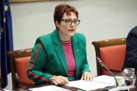 Delgado presenta a los cabildos el nuevo decreto que moderniza y agiliza el reconocimiento de la discapacidad