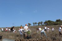 La Gomera: Concluye el programa del D&iacute;a insular del &Aacute;rbol con una actividad de plantaci&oacute;n y convivencia