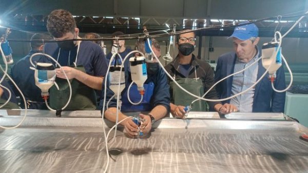 El Gobierno de Canarias apuesta por la I+D+i y la sostenibilidad para la recuperación de La Palma