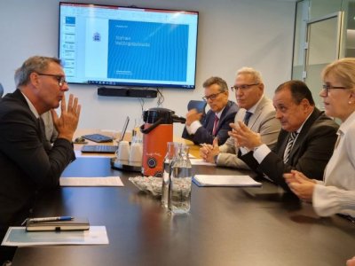 Canarias e Islandia intercambian experiencias en materia sanitaria en territorios afectados por erupciones