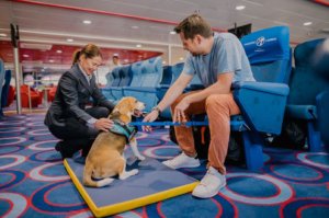 Más de 25.000 mascotas disfrutan de las acomodaciones ‘pet-friendly’ de Fred. Olsen Express en el último trimestre