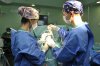 Sanidad insiste en la importancia del diagn&oacute;stico precoz del Parkinson para mejorar la calidad de vida de pacientes