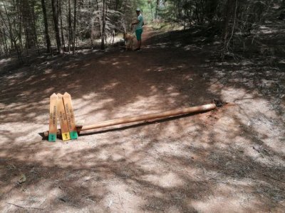 El Ayuntamiento de Gu&iacute;a denuncia actos vand&aacute;licos en la Reserva Natural Especial El Brezal